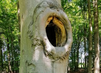 Le Secours de l’Esprit