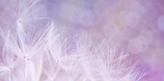 Les étapes qui vous sont proposées sont une réponse à vos demandes