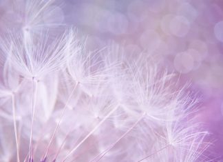 Les étapes qui vous sont proposées sont une réponse à vos demandes