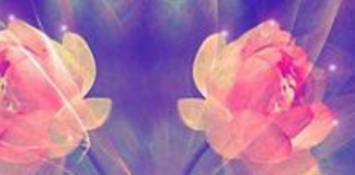 Permettre le changement