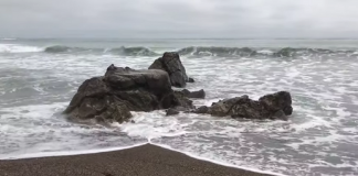 Message aux Travailleurs de Lumière – 15 juillet 2021