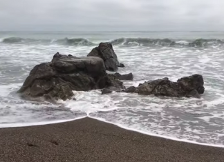 Message aux Travailleurs de Lumière – 15 juillet 2021