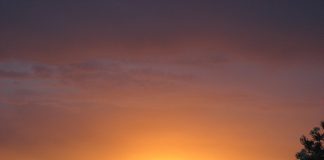 Vous n’êtes pas seul dans cette quête.