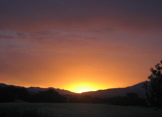 Vous n’êtes pas seul dans cette quête.