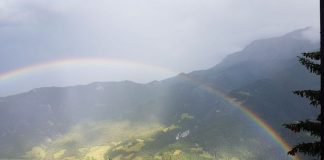 Vous Êtes Prêts à Aider la Lumière dans son Travail…