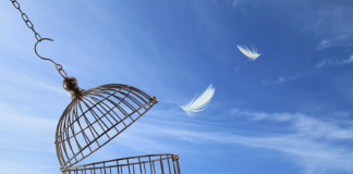 Le Créateur – Se Libérer