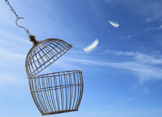 Le Créateur – Se Libérer