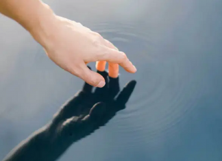 Le Créateur – Votre Responsabilité