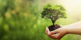 Le Créateur – C’est à vous !