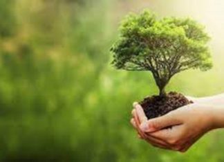 Les efforts de chacun ne seront pas inutiles – Le Conseil