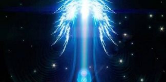 Message du 19-07-2021 sur ce qui s’en vient