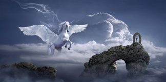 Ne pliez plus l’échine mais déployez vos ailes !