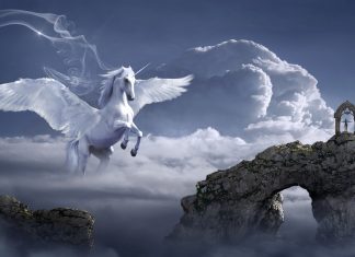 Ne pliez plus l’échine mais déployez vos ailes !