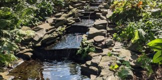 Entrer dans le Flux d’Amour