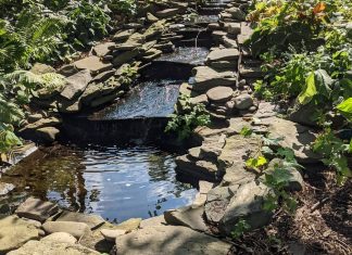 Entrer dans le Flux d’Amour