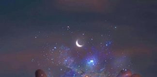 Le Créateur – Création!