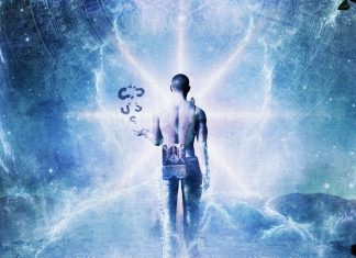 Le Créateur – Libération