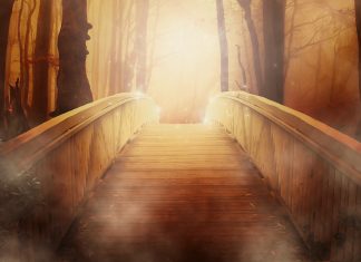 Observer et Accueillir le Changement Intérieur et Extérieur