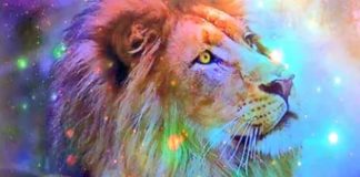 Ambassadeur Galactique de Sirius/Lyre : Tenez-vous en à votre vérité, Énergies du 8/8