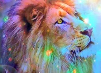 Ambassadeur Galactique de Sirius/Lyre : Tenez-vous en à votre vérité, Énergies du 8/8