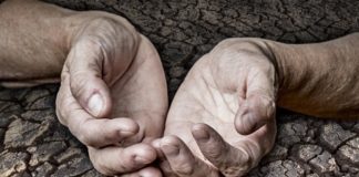 Le Créateur – Reconnaître la Douleur