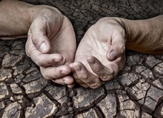 Le Créateur – Reconnaître la Douleur