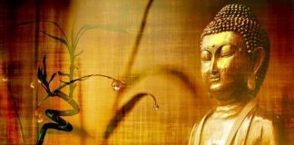 Restez dans Votre Centre