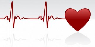 Le Créateur – Un Battement de Coeur