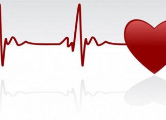 Le Créateur – Un Battement de Coeur