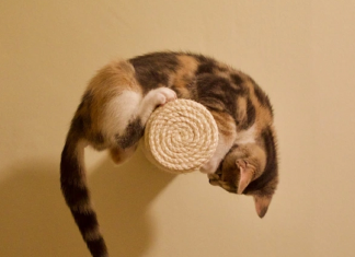 Le Créateur – Juste s’arrêter