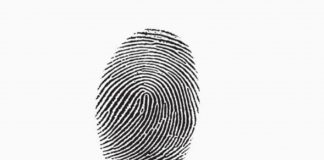 Le Créateur – Il y Aura Jamais…