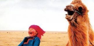 Le Chemin de la Joie et de la Gratitude