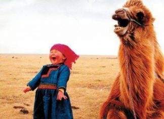 Le Chemin de la Joie et de la Gratitude