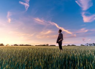 Deux Seront Emmenés sur le Terrain
