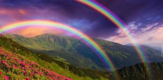 Entretenir le Jardin Intérieur