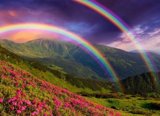 Entretenir le Jardin Intérieur