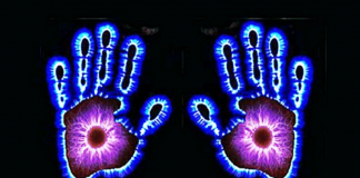 Le Créateur – Votre Signature