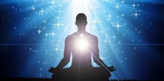 Le Créateur – Le Participant Actif