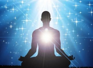 Le Créateur – Le Participant Actif