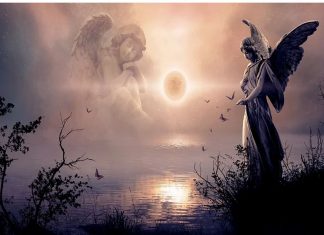 L’ESTUAIRE DES ANGES