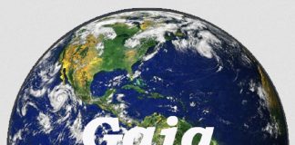 Gaia – Agir Ensemble