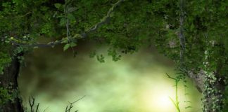 LA LUMIÈRE EST VOTRE BOUCLIER