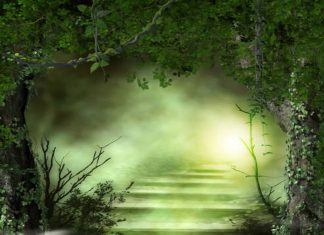 LA LUMIÈRE EST VOTRE BOUCLIER