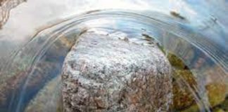 Le Créateur – Laissez couler