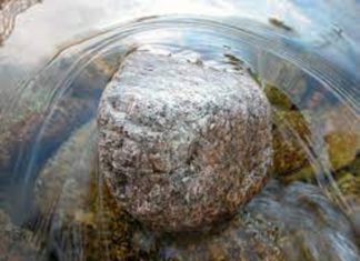 Le Créateur – Laissez couler