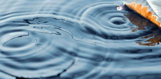 Loi Universelle – La Loi de Cause à Effet