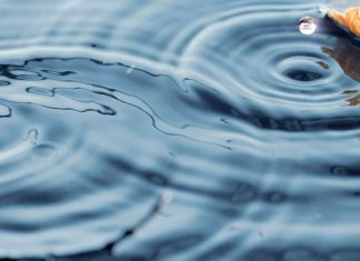 Loi Universelle – La Loi de Cause à Effet