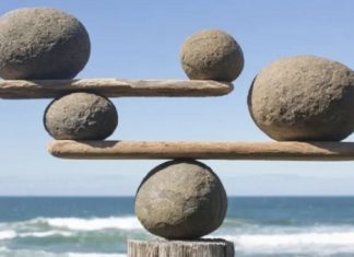 L’Homéostasie, le Secret de l’Être