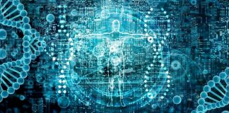 La Réinformation Cellulaire