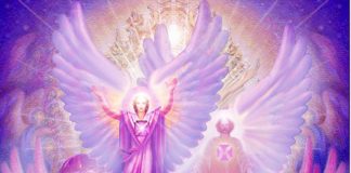 Le Créateur – Un doux remue-ménage